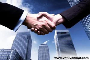 Tư vấn thành lập doanh nghiệp tại Cầu Giấy