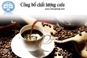 Dịch vụ công bố tiêu chuẩn chất lượng hàng hóa